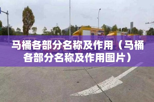 马桶各部分名称及作用（马桶各部分名称及作用图片）