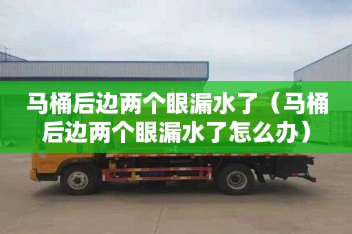 马桶后边两个眼漏水了（马桶后边两个眼漏水了怎么办）