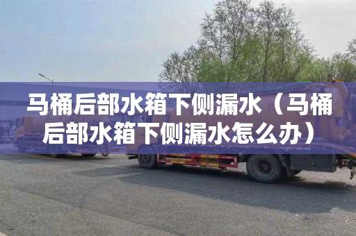 马桶后部水箱下侧漏水（马桶后部水箱下侧漏水怎么办）