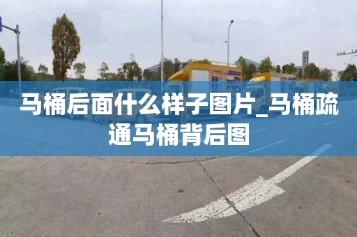 马桶后面什么样子图片_马桶疏通马桶背后图