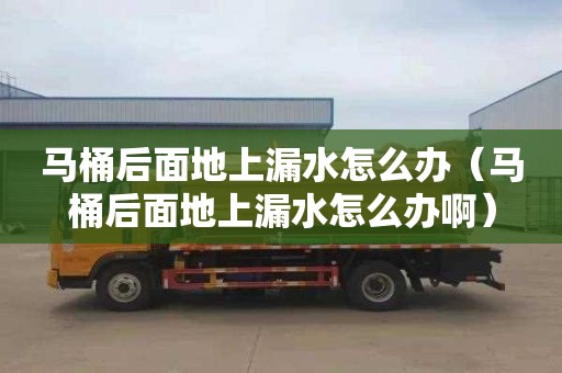 马桶后面地上漏水怎么办（马桶后面地上漏水怎么办啊）
