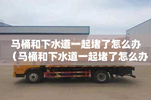 马桶和下水道一起堵了怎么办（马桶和下水道一起堵了怎么办啊）