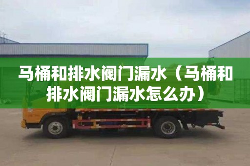 马桶和排水阀门漏水（马桶和排水阀门漏水怎么办）