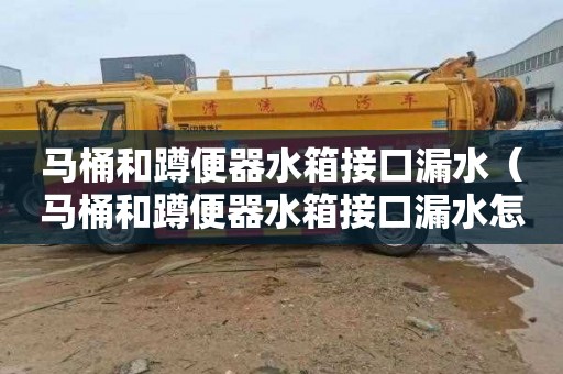马桶和蹲便器水箱接口漏水（马桶和蹲便器水箱接口漏水怎么办）