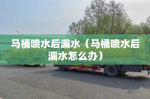 马桶喷水后漏水（马桶喷水后漏水怎么办）