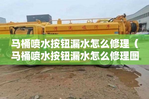 马桶喷水按钮漏水怎么修理（马桶喷水按钮漏水怎么修理图解）