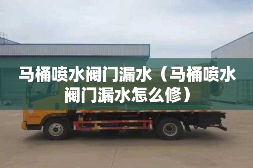 马桶喷水阀门漏水（马桶喷水阀门漏水怎么修）