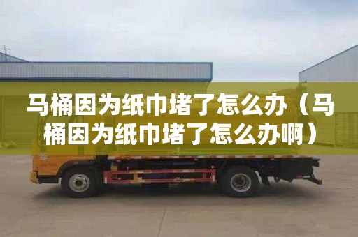 马桶因为纸巾堵了怎么办（马桶因为纸巾堵了怎么办啊）