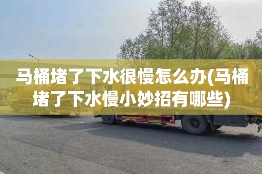 马桶堵了下水很慢怎么办(马桶堵了下水慢小妙招有哪些)