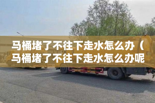 马桶堵了不往下走水怎么办（马桶堵了不往下走水怎么办呢）