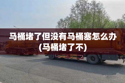 马桶堵了但没有马桶塞怎么办(马桶堵了不)