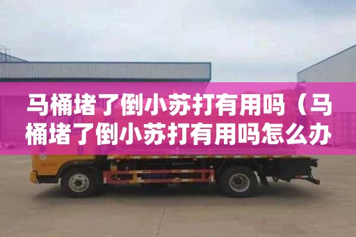 马桶堵了倒小苏打有用吗（马桶堵了倒小苏打有用吗怎么办）