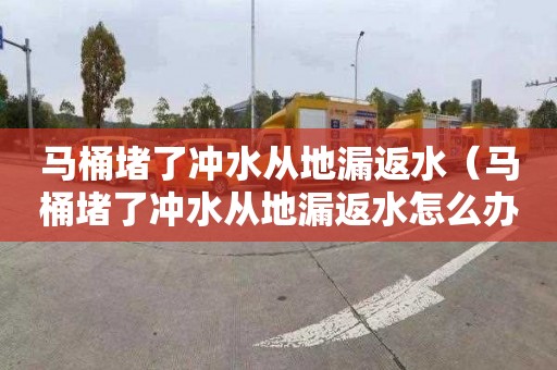 马桶堵了冲水从地漏返水（马桶堵了冲水从地漏返水怎么办）