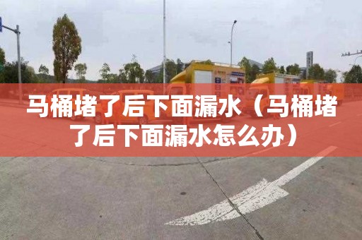 马桶堵了后下面漏水（马桶堵了后下面漏水怎么办）