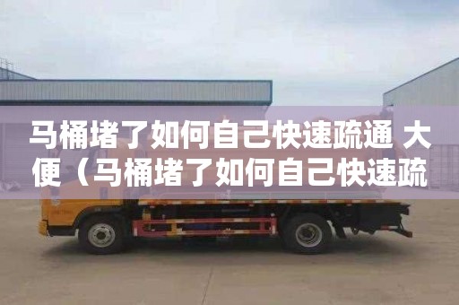 马桶堵了如何自己快速疏通 大便（马桶堵了如何自己快速疏通 大便妙招）