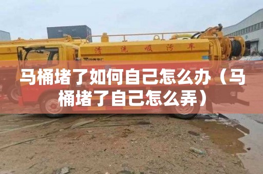 马桶堵了如何自己怎么办（马桶堵了自己怎么弄）