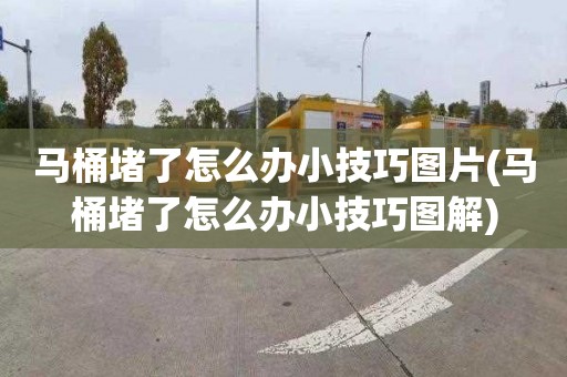 马桶堵了怎么办小技巧图片(马桶堵了怎么办小技巧图解)