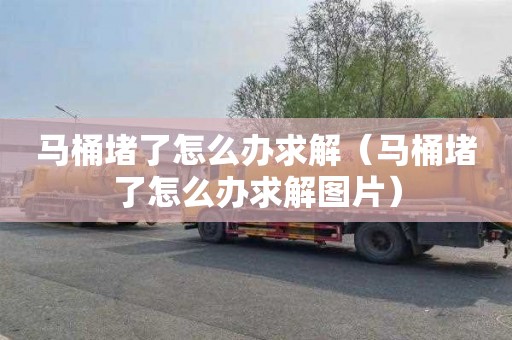马桶堵了怎么办求解（马桶堵了怎么办求解图片）