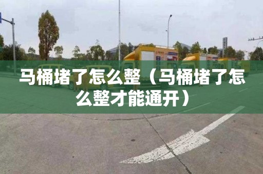 马桶堵了怎么整（马桶堵了怎么整才能通开）