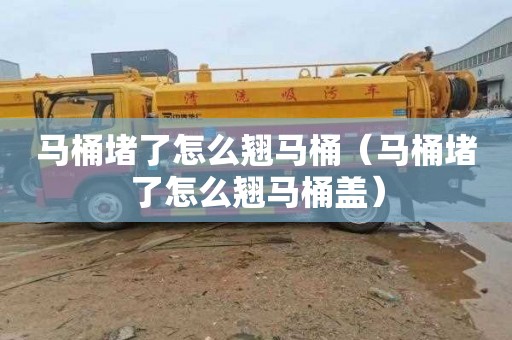 马桶堵了怎么翘马桶（马桶堵了怎么翘马桶盖）