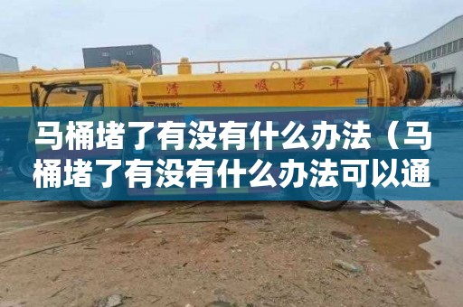 马桶堵了有没有什么办法（马桶堵了有没有什么办法可以通）