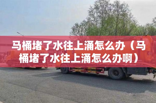 马桶堵了水往上涌怎么办（马桶堵了水往上涌怎么办啊）