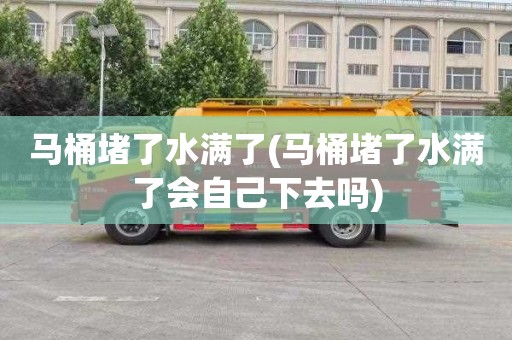 马桶堵了水满了(马桶堵了水满了会自己下去吗)