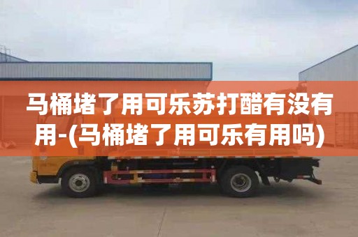 马桶堵了用可乐苏打醋有没有用-(马桶堵了用可乐有用吗)