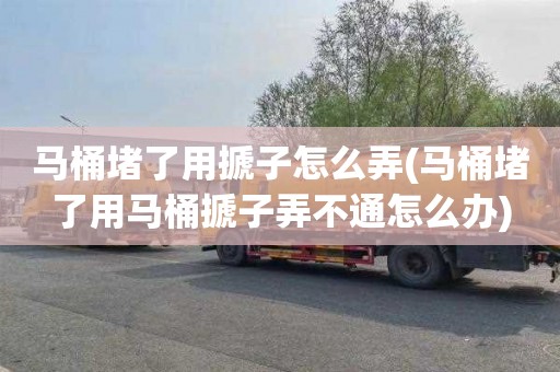 马桶堵了用搋子怎么弄(马桶堵了用马桶搋子弄不通怎么办)