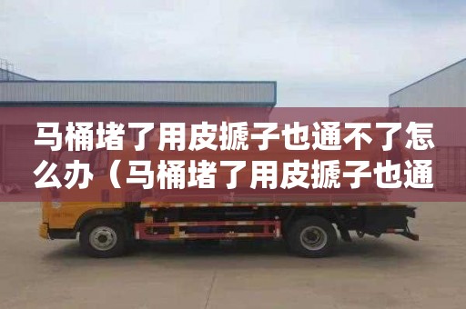 马桶堵了用皮搋子也通不了怎么办（马桶堵了用皮搋子也通不了怎么办呀）