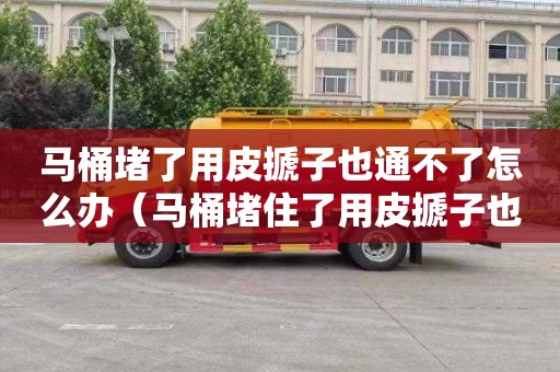 马桶堵了用皮搋子也通不了怎么办（马桶堵住了用皮搋子也通不开怎么办）