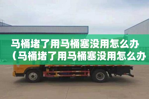 马桶堵了用马桶塞没用怎么办（马桶堵了用马桶塞没用怎么办啊）