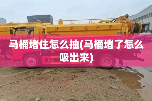 马桶堵住怎么抽(马桶堵了怎么吸出来)