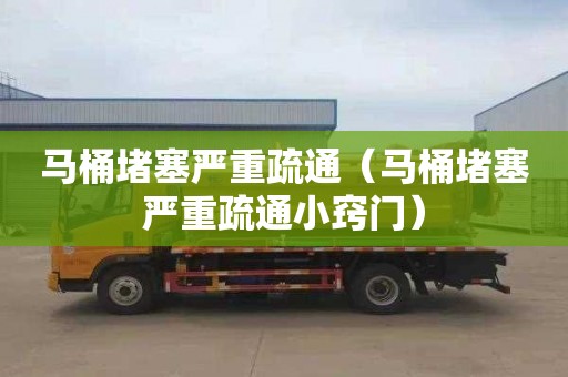 马桶堵塞严重疏通（马桶堵塞严重疏通小窍门）