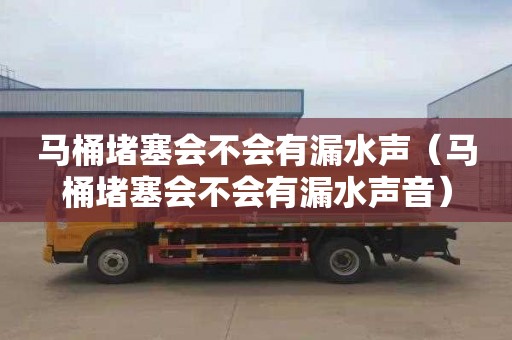 马桶堵塞会不会有漏水声（马桶堵塞会不会有漏水声音）