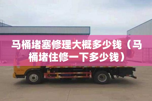 马桶堵塞修理大概多少钱（马桶堵住修一下多少钱）