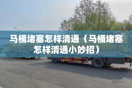 马桶堵塞怎样清通（马桶堵塞怎样清通小妙招）