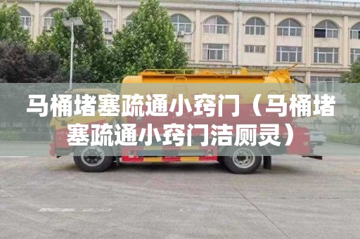 马桶堵塞疏通小窍门（马桶堵塞疏通小窍门洁厕灵）