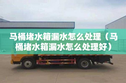 马桶堵水箱漏水怎么处理（马桶堵水箱漏水怎么处理好）