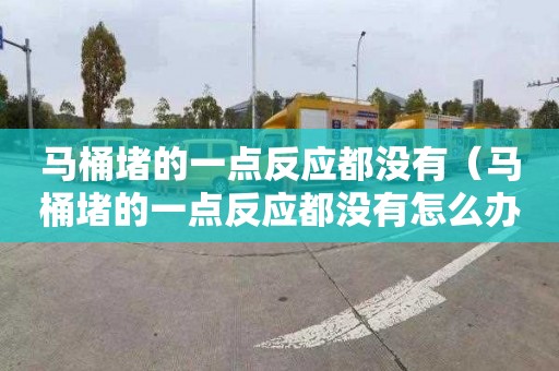 马桶堵的一点反应都没有（马桶堵的一点反应都没有怎么办）