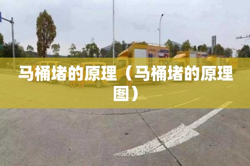马桶堵的原理（马桶堵的原理图）