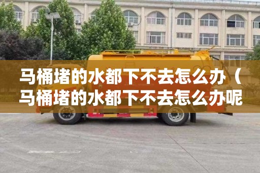 马桶堵的水都下不去怎么办（马桶堵的水都下不去怎么办呢）