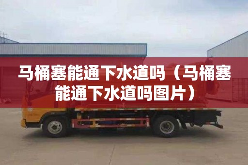 马桶塞能通下水道吗（马桶塞能通下水道吗图片）