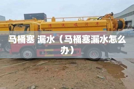 马桶塞 漏水（马桶塞漏水怎么办）