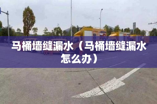 马桶墙缝漏水（马桶墙缝漏水怎么办）