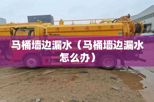 马桶墙边漏水（马桶墙边漏水怎么办）