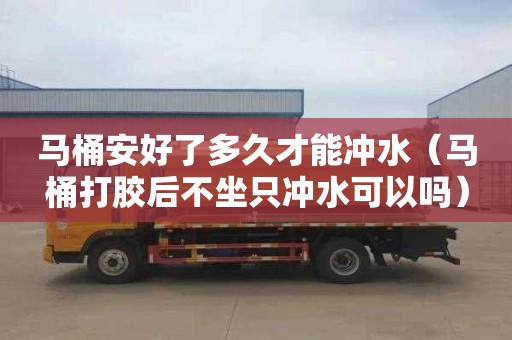 马桶安好了多久才能冲水（马桶打胶后不坐只冲水可以吗）