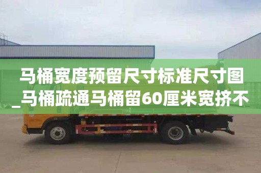 马桶宽度预留尺寸标准尺寸图_马桶疏通马桶留60厘米宽挤不挤