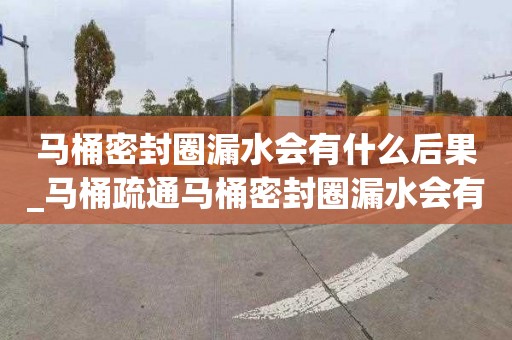 马桶密封圈漏水会有什么后果_马桶疏通马桶密封圈漏水会有什么后果吗