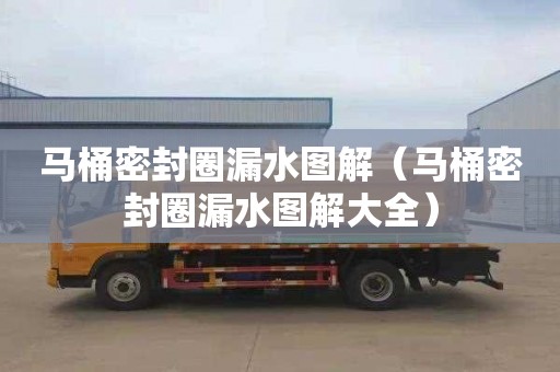 马桶密封圈漏水图解（马桶密封圈漏水图解大全）